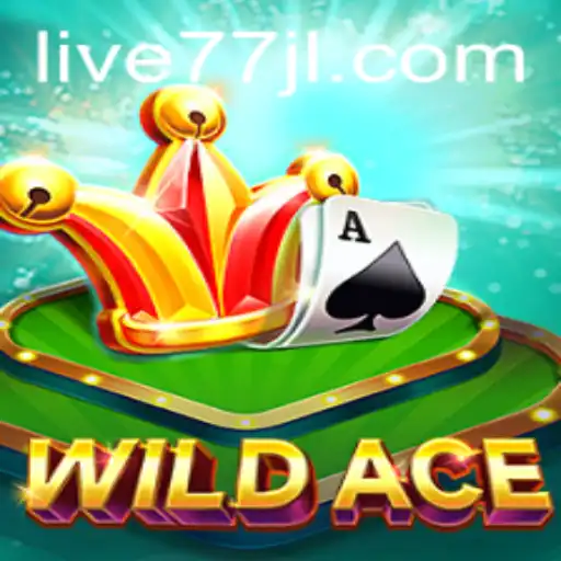 Discovering WildAce Game